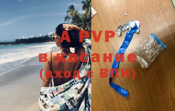 гашик Богданович