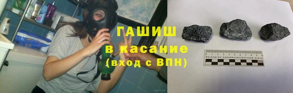 гашик Богданович