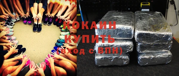гашик Богданович