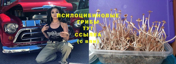 стафф Богородицк